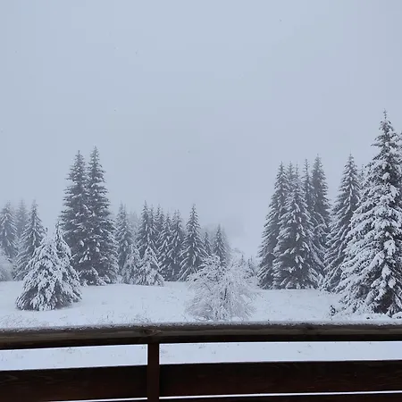 Panorama Belvedere דירה *