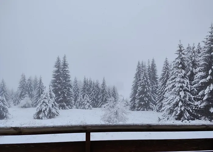 Panorama Belvedere Lejlighed *