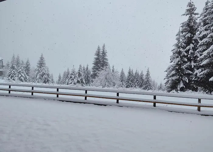 Panorama Belvedere Lejlighed Stoykite